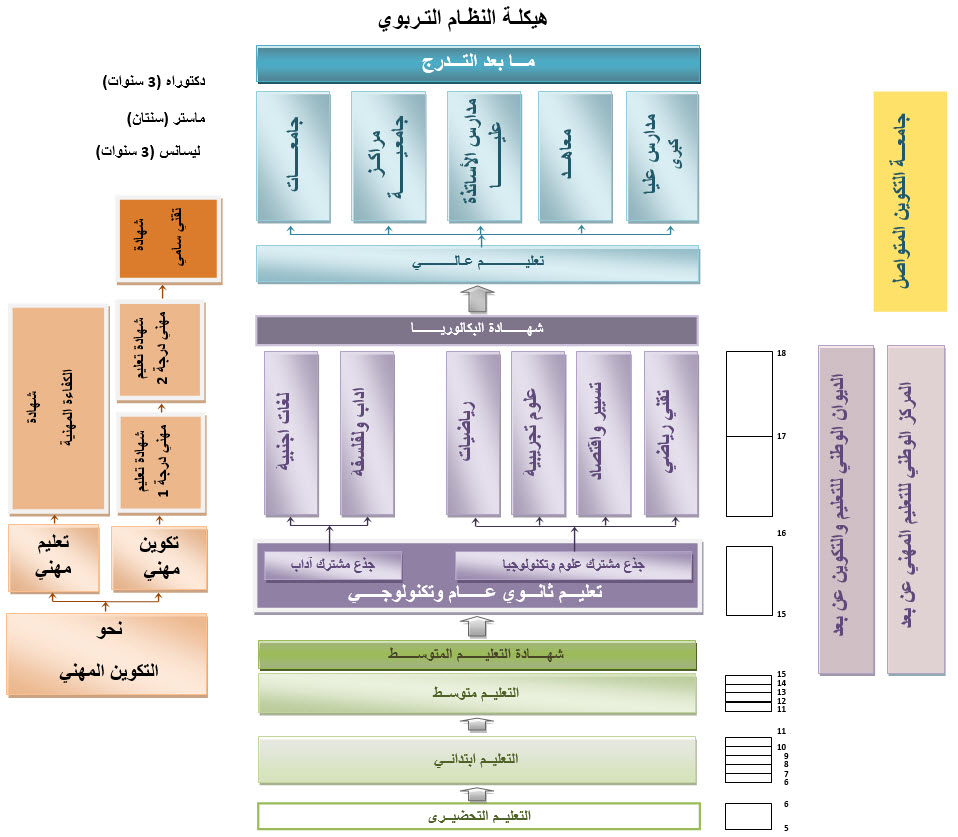 هيكلة النظام التربوي 